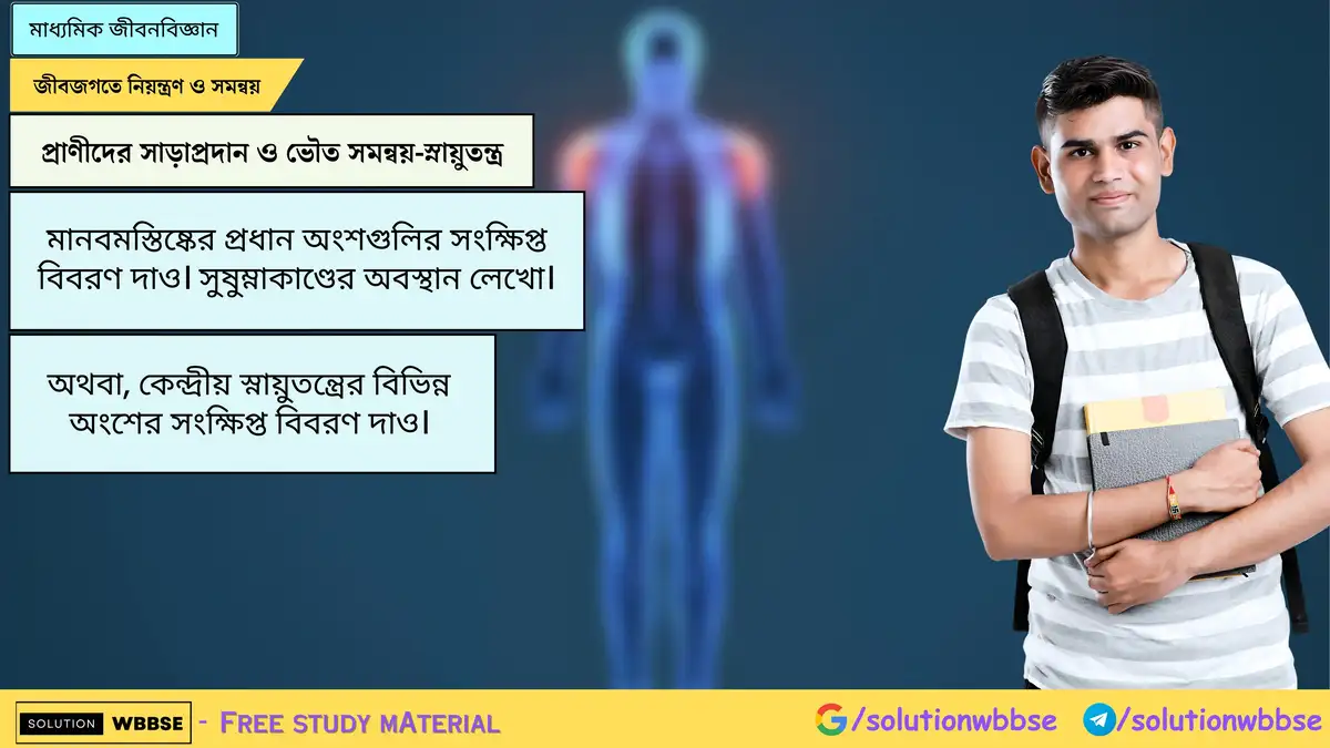 মানবমস্তিষ্কের প্রধান অংশগুলির সংক্ষিপ্ত বিবরণ দাও। সুষুম্নাকাণ্ডের অবস্থান লেখো। অথবা, কেন্দ্রীয় স্নায়ুতন্ত্রের বিভিন্ন অংশের সংক্ষিপ্ত বিবরণ দাও।