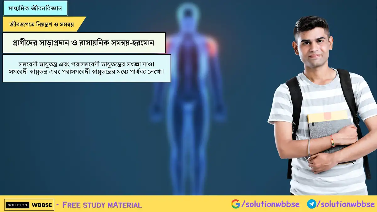 সমবেদী স্নায়ুতন্ত্র এবং পরাসমবেদী স্নায়ুতন্ত্রের সংজ্ঞা দাও। সমবেদী স্নায়ুতন্ত্র এবং পরাসমবেদী স্নায়ুতন্ত্রের মধ্যে পার্থক্য লেখো।