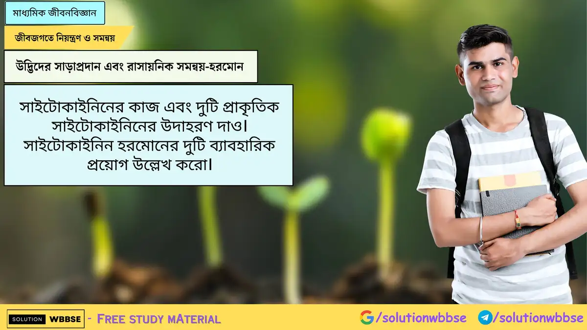 সাইটোকাইনিনের কাজ এবং দুটি প্রাকৃতিক সাইটোকাইনিনের উদাহরণ দাও। সাইটোকাইনিন হরমোনের দুটি ব্যাবহারিক প্রয়োগ উল্লেখ করো।