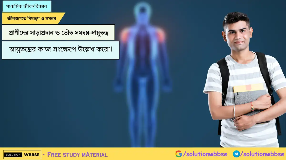 স্নায়ুতন্ত্রের কাজ সংক্ষেপে উল্লেখ করো।