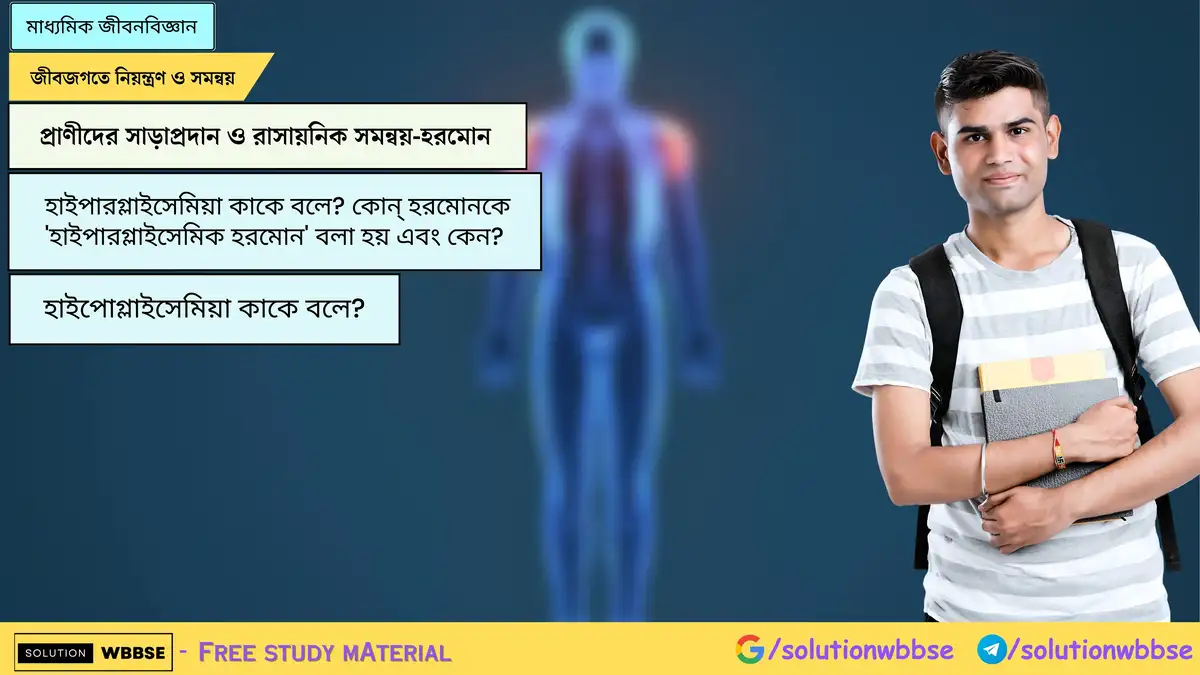 হাইপারগ্লাইসেমিয়া কাকে বলে? কোন্ হরমোনকে 'হাইপারগ্লাইসেমিক হরমোন' বলা হয় এবং কেন? হাইপোগ্লাইসেমিয়া কাকে বলে?