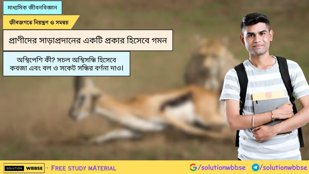 অস্থিপেশি কী? সচল অস্থিসন্ধি হিসেবে কবজা এবং বল ও সকেট সন্ধির বর্ণনা দাও। 1 অস্থিপেশি কী? সচল অস্থিসন্ধি হিসেবে কবজা এবং বল ও সকেট সন্ধির বর্ণনা দাও।