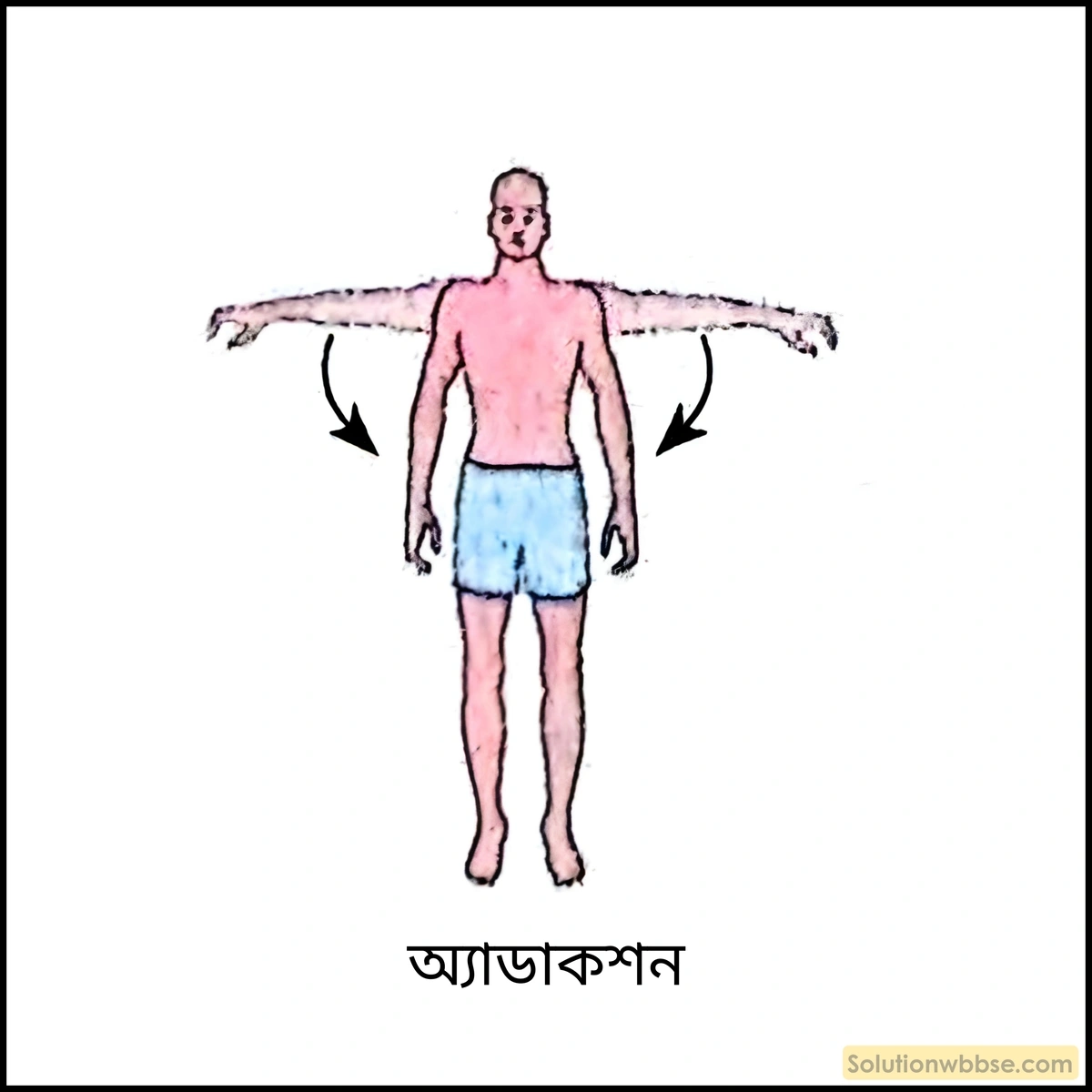 অ্যাডাকশন