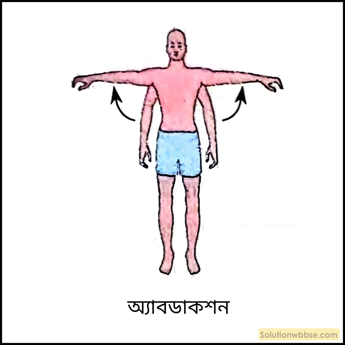 অ্যাবডাকশন