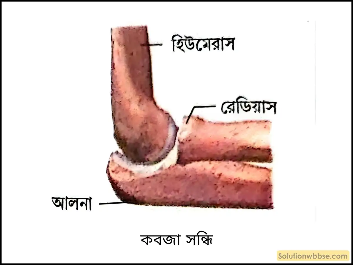 কবজা সন্ধি