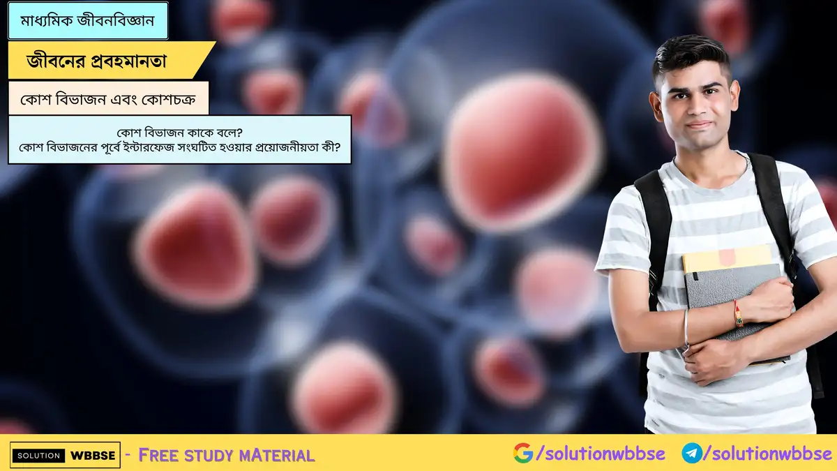 কোশ বিভাজন কাকে বলে? কোশ বিভাজনের পূর্বে ইন্টারফেজ সংঘটিত হওয়ার প্রয়োজনীয়তা কী?