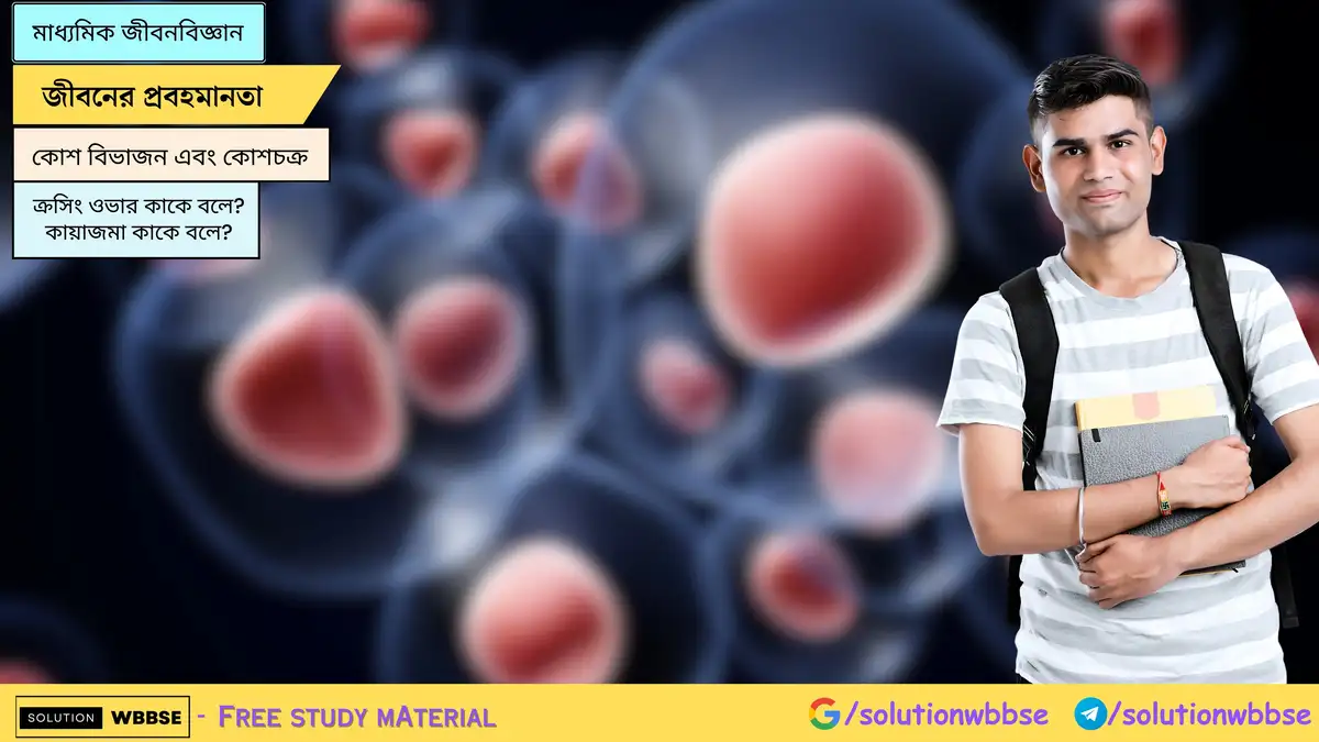 ক্রসিং ওভার কাকে বলে? কায়াজমা কাকে বলে?