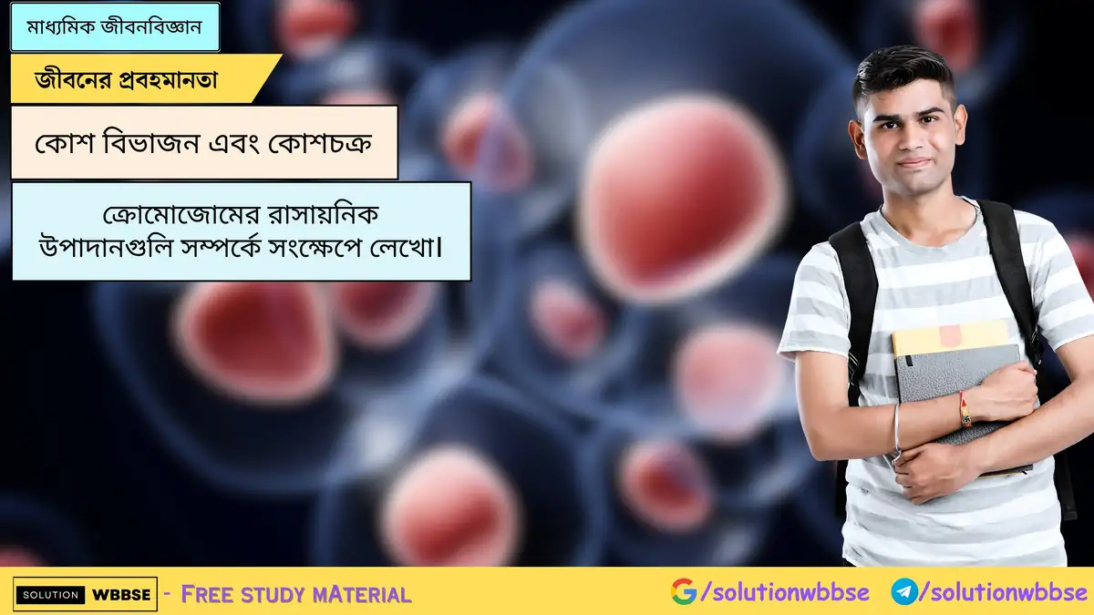 ক্রোমোজোমের রাসায়নিক উপাদানগুলি সম্পর্কে সংক্ষেপে লেখো। 1 ক্রোমোজোমের রাসায়নিক উপাদানগুলি সম্পর্কে সংক্ষেপে লেখো।