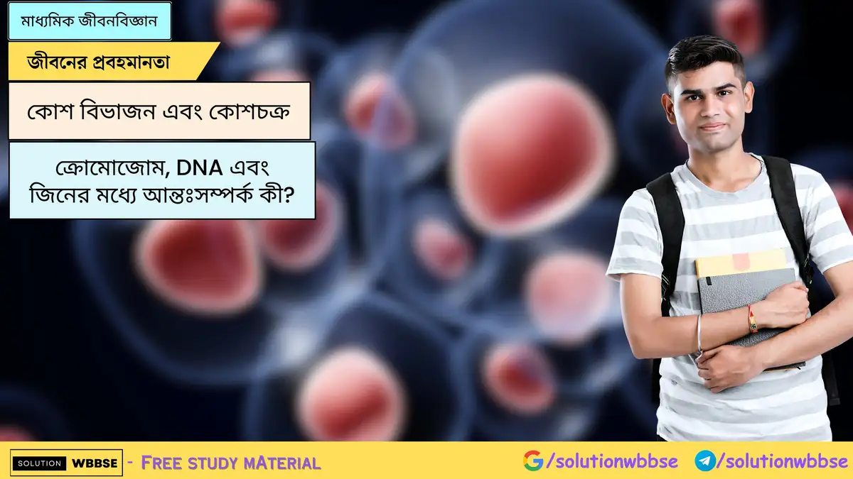 ক্রোমোজোম, DNA এবং জিনের মধ্যে আন্তঃসম্পর্ক কী?