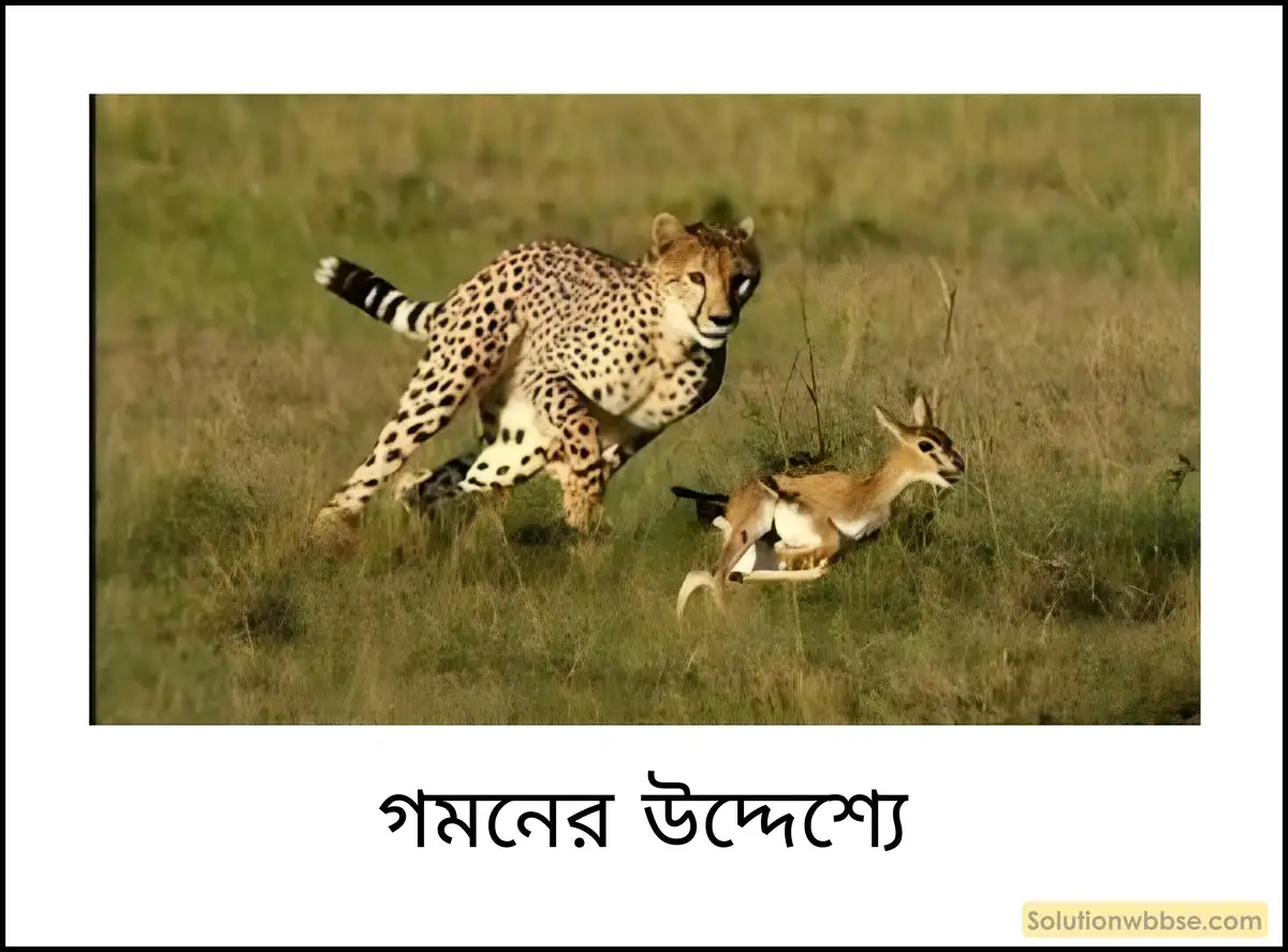 গমনের উদ্দেশ্যে