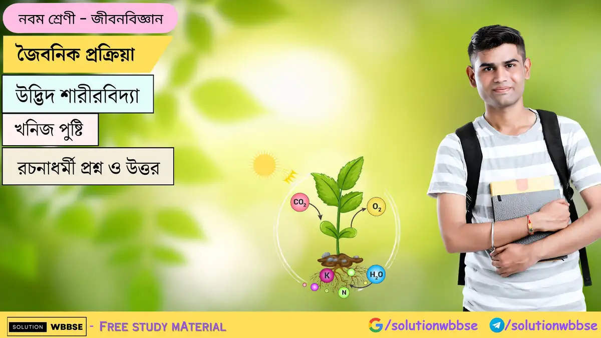 জৈবনিক প্রক্রিয়া-উদ্ভিদ শারীরবিদ্যা-খনিজ পুষ্টি-নবম শ্রেণী-জীবন বিজ্ঞান