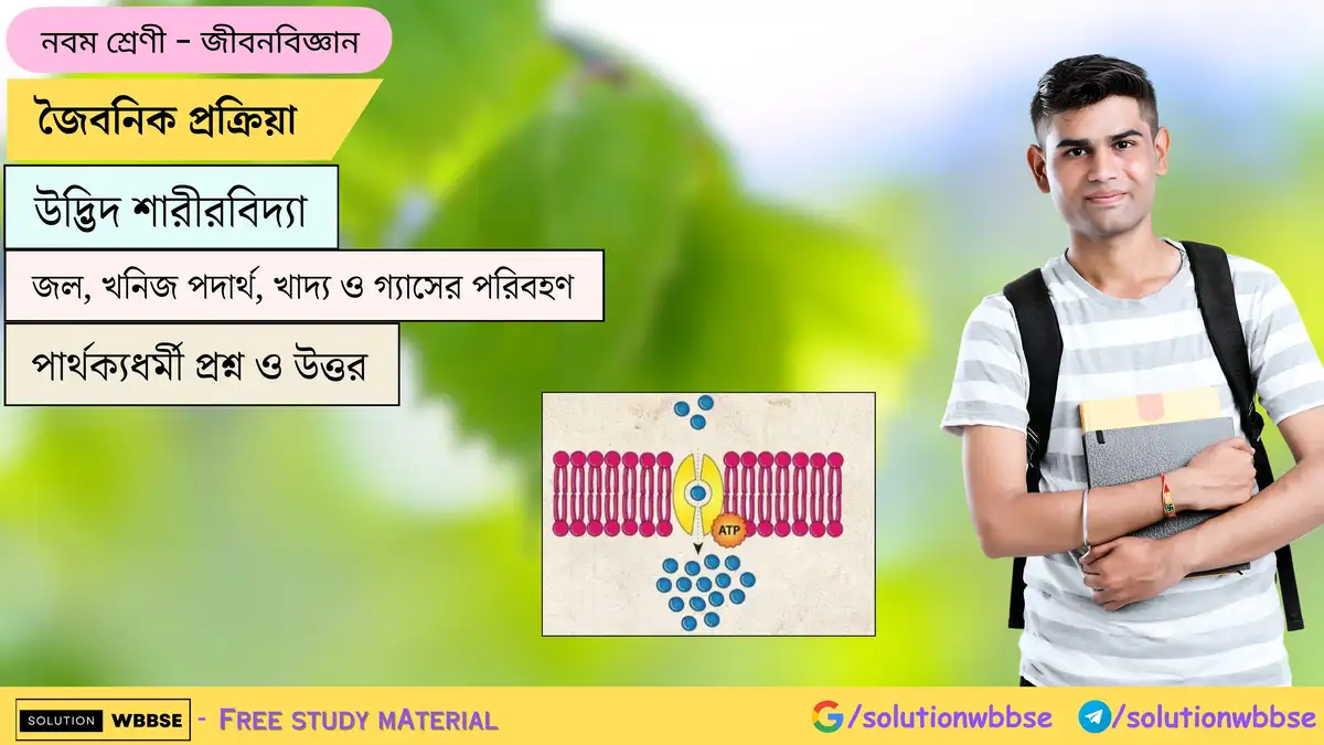 জৈবনিক প্রক্রিয়া-উদ্ভিদ শারীরবিদ্যা-জল, খনিজ পদার্থ, খাদ্য ও গ্যাসের পরিবহণ-জীবন বিজ্ঞান