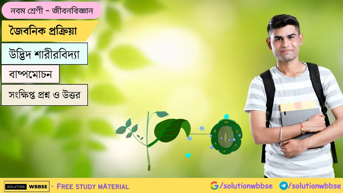 নবম শ্রেণী জীবনবিজ্ঞান - জৈবনিক প্রক্রিয়া - উদ্ভিদ শারীরবিদ্যা - বাষ্পমোচন - সংক্ষিপ্ত প্রশ্ন ও উত্তর 1 জৈবনিক প্রক্রিয়া-উদ্ভিদ শারীরবিদ্যা-বাষ্পমোচন-জীবনবিজ্ঞান-নবম শ্রেণী