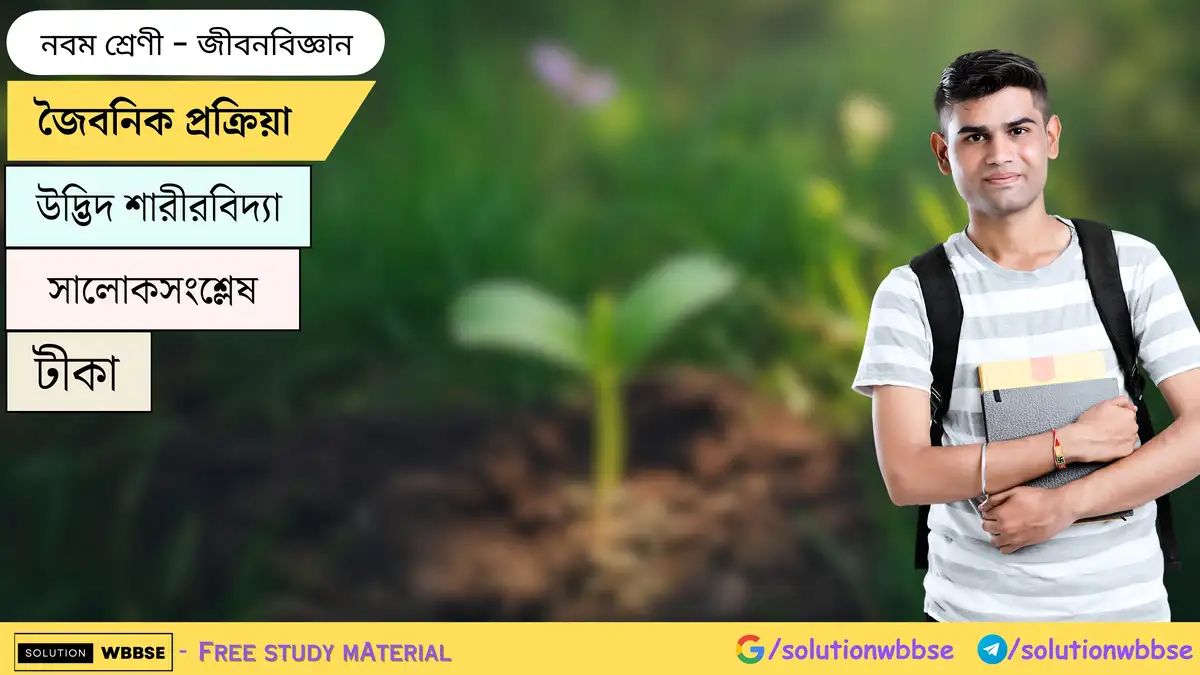 জৈবনিক প্রক্রিয়া-উদ্ভিদ শারীরবিদ্যা-সালোকসংশ্লেষ-জীবনবিজ্ঞান-নবম শ্রেণী