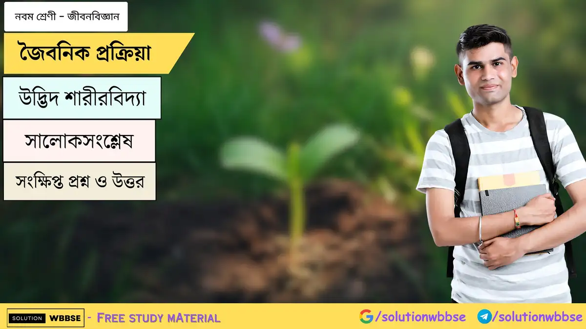 জৈবনিক প্রক্রিয়া-উদ্ভিদ শারীরবিদ্যা-সালোকসংশ্লেষ-নবম শ্রেণী-জীবনবিজ্ঞান