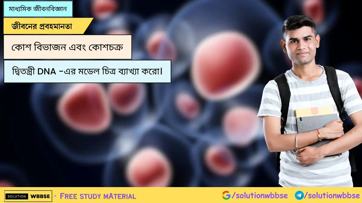 দ্বিতন্ত্রী DNA -এর মডেল চিত্র ব্যাখ্যা করো। 1 দ্বিতন্ত্রী DNA -এর মডেল চিত্র ব্যাখ্যা করো।