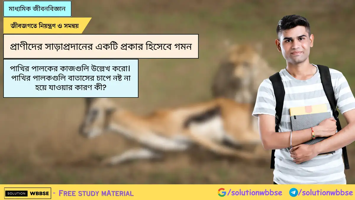 পাখির পালকের কাজ কি? পালকগুলি বাতাসের চাপে নষ্ট না হয়ে যাওয়ার কারণ কী? 1 পাখির পালকের কাজগুলি উল্লেখ করো। পাখির পালকগুলি বাতাসের চাপে নষ্ট না হয়ে যাওয়ার কারণ কী?