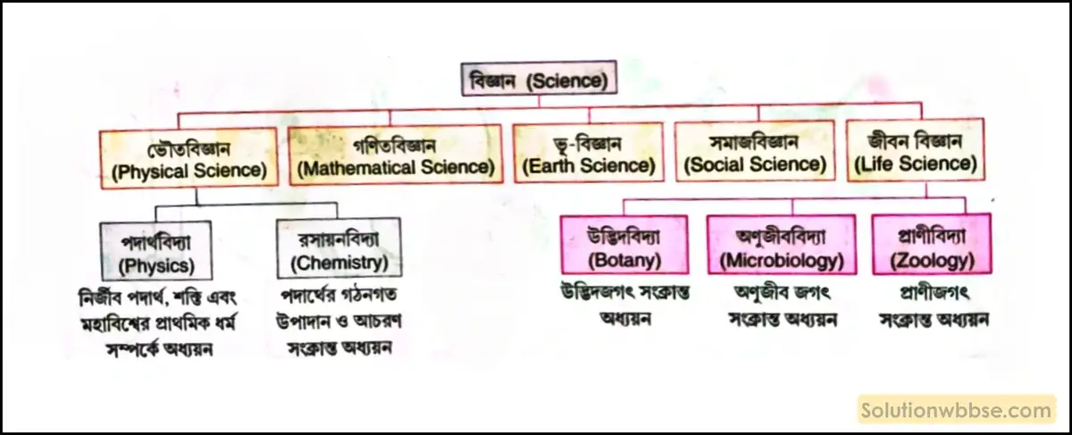 নবম শ্রেণী জীবনবিজ্ঞান - জীবন ও তার বৈচিত্র্য - জীববিদ্যা হল জীবনের রীতি ও প্রক্রিয়া এবং তারা বৈচিত্রের অধ্যয়ন - রচনাধর্মী প্রশ্ন ও উত্তর 2 বিজ্ঞানের মূল বা প্রধান শাখা