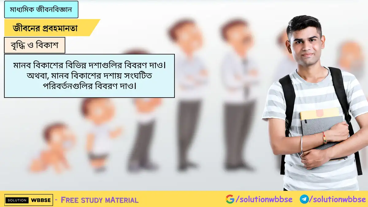 মানব বিকাশের বিভিন্ন দশাগুলির বিবরণ দাও। অথবা, মানব বিকাশের দশায় সংঘটিত পরিবর্তনগুলির বিবরণ দাও।