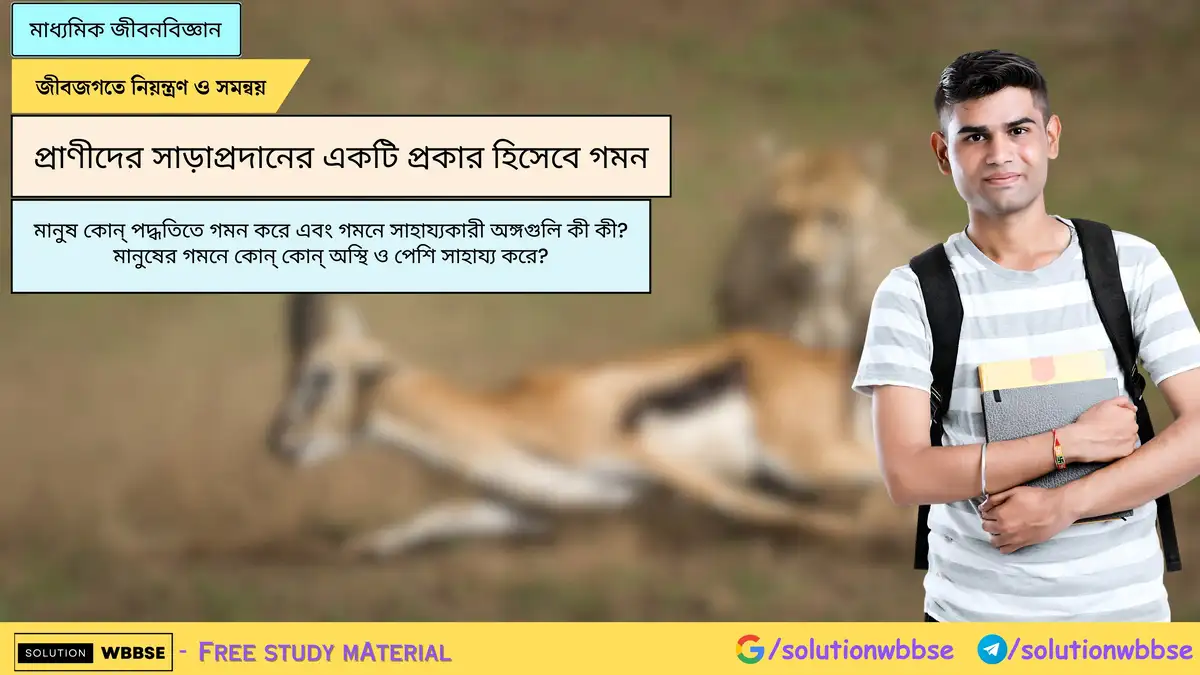 মানুষ কোন্ পদ্ধতিতে গমন করে এবং গমনে সাহায্যকারী অঙ্গগুলি কী কী? মানুষের গমনে কোন্ কোন্ অস্থি ও পেশি সাহায্য করে?