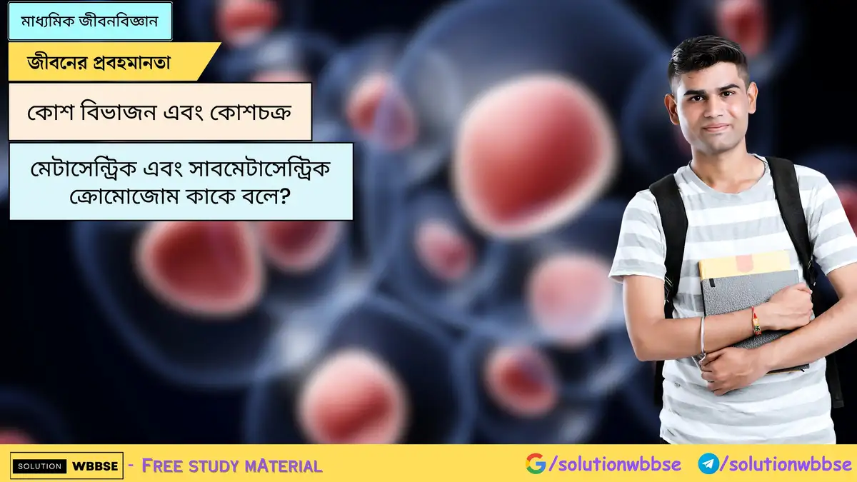 মেটাসেন্ট্রিক এবং সাবমেটাসেন্ট্রিক ক্রোমোজোম কাকে বলে?