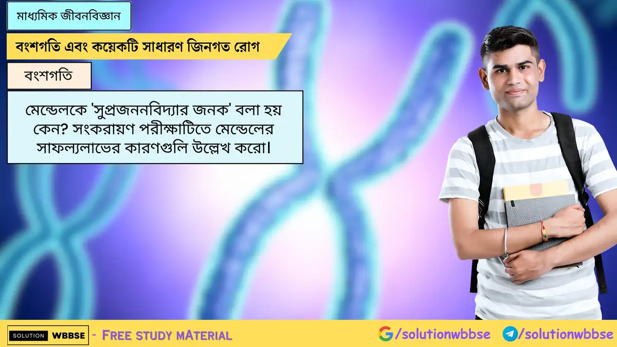 মেন্ডেলকে 'সুপ্রজননবিদ্যার জনক' বলা হয় কেন? সংকরায়ণ পরীক্ষাটিতে মেন্ডেলের সাফল্যলাভের কারণ 1 মেন্ডেলকে 'সুপ্রজননবিদ্যার জনক' বলা হয় কেন? সংকরায়ণ পরীক্ষাটিতে মেন্ডেলের সাফল্যলাভের কারণগুলি উল্লেখ করো।