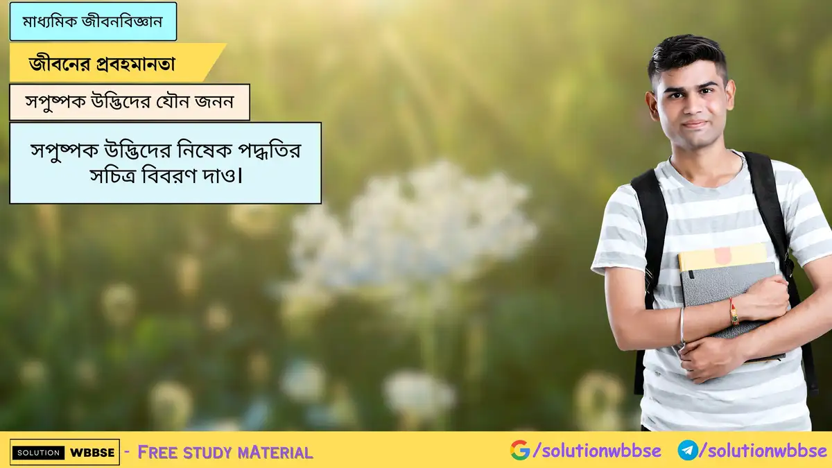 সপুষ্পক উদ্ভিদের নিষেক পদ্ধতির সচিত্র বিবরণ দাও।