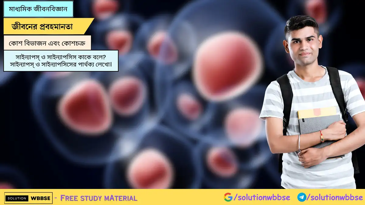 সাইন্যাপস্ ও সাইন্যাপসিস কাকে বলে? সাইন্যাপস্ ও সাইন্যাপসিসের পার্থক্য লেখো।