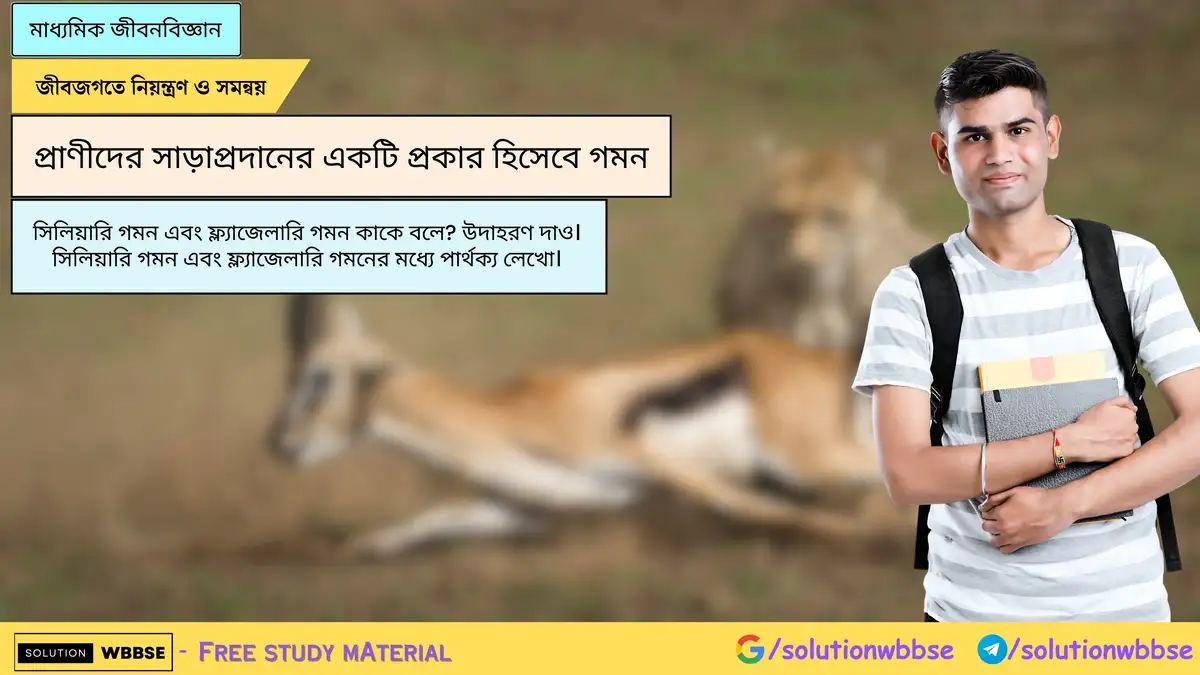 সিলিয়ারি গমন এবং ফ্ল্যাজেলারি গমন কাকে বলে? সিলিয়ারি গমন এবং ফ্ল্যাজেলারি গমনের পার্থক্য 1 সিলিয়ারি গমন এবং ফ্ল্যাজেলারি গমন কাকে বলে? উদাহরণ দাও। সিলিয়ারি গমন এবং ফ্ল্যাজেলারি গমনের মধ্যে পার্থক্য লেখো।