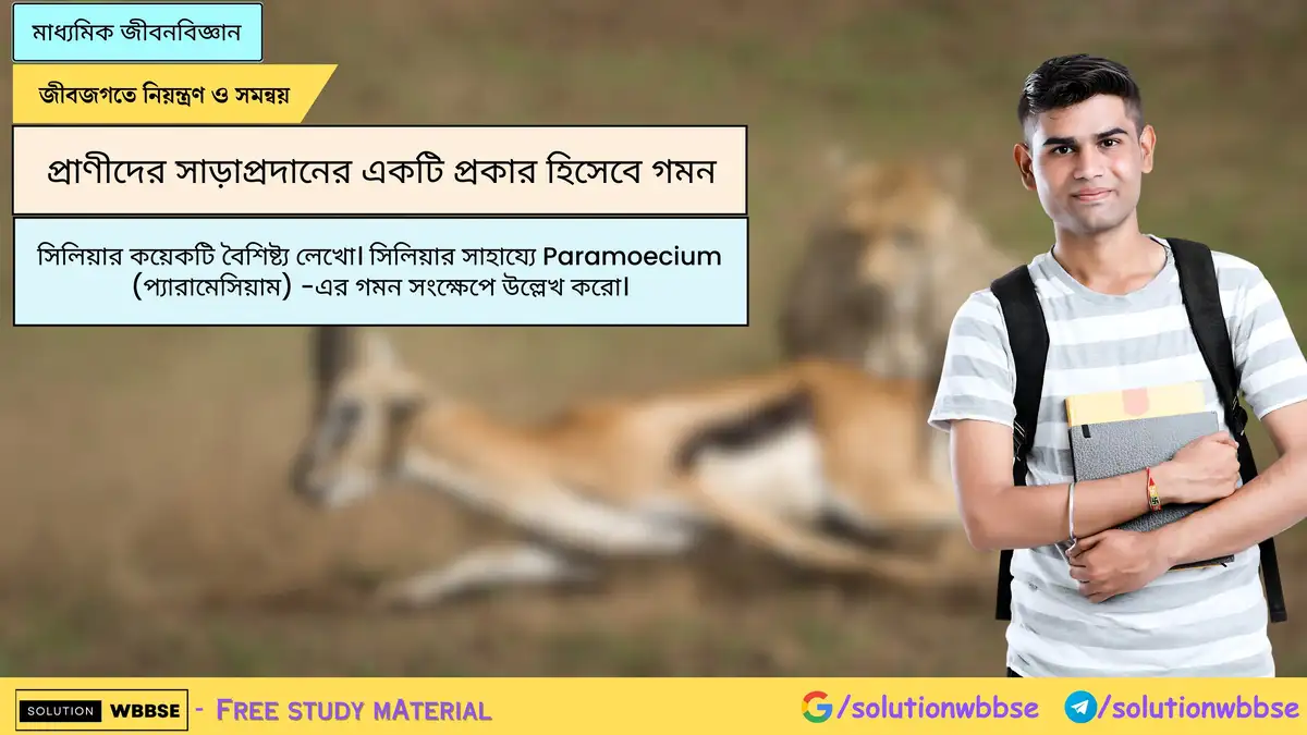 সিলিয়ার কয়েকটি বৈশিষ্ট্য লেখো। সিলিয়ার সাহায্যে Paramoecium (প্যারামেসিয়াম) -এর গমন সংক্ষেপে উল্লেখ করো।