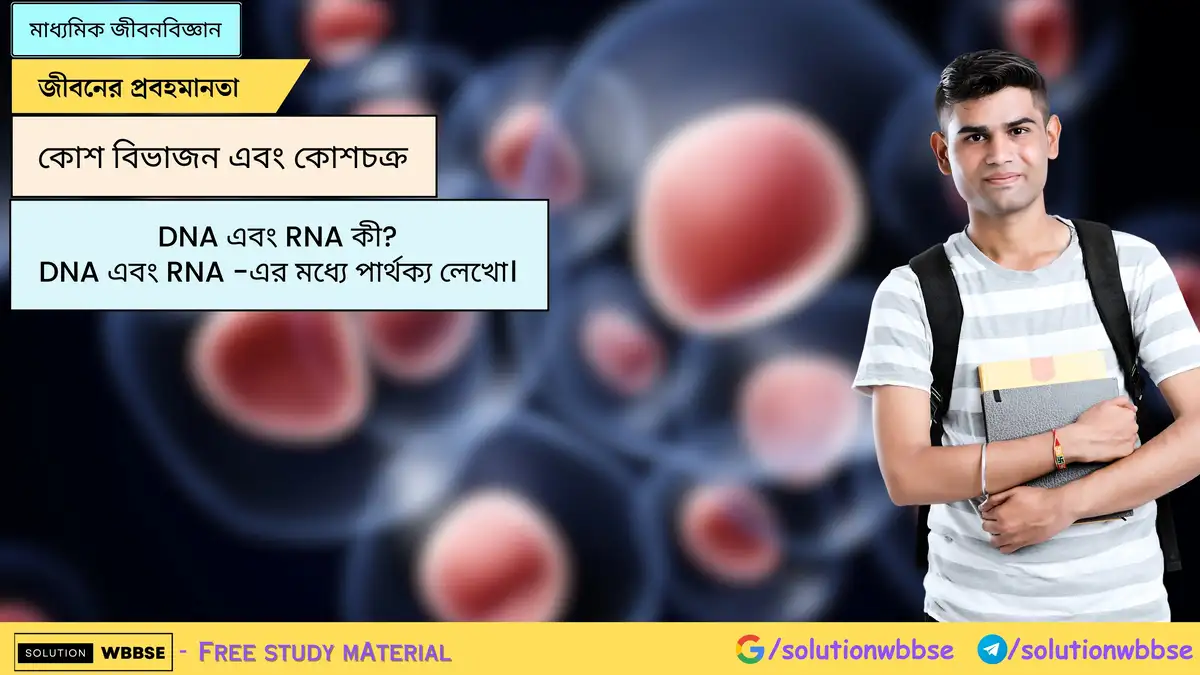 SolutionWbbse - Free Wbbse Notes 10 DNA এবং RNA কী? DNA এবং RNA -এর মধ্যে পার্থক্য লেখো।