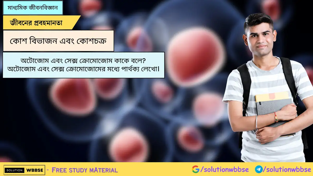 SolutionWbbse - Free Wbbse Notes 4 অটোজোম এবং সেক্স ক্রোমোজোম কাকে বলে? অটোজোম এবং সেক্স ক্রোমোজোমের মধ্যে পার্থক্য লেখো।