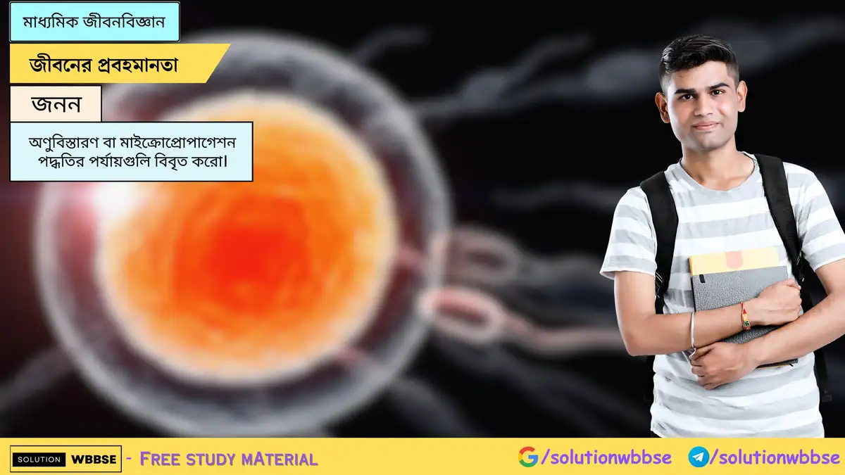 অণুবিস্তারণ বা মাইক্রোপ্রোপাগেশন পদ্ধতির পর্যায়গুলি বিবৃত করো।