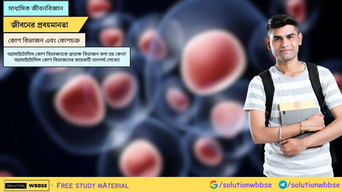 অ্যামাইটোসিস কোশ বিভাজনকে প্রত্যক্ষ বিভাজন বলা হয় কেন? অ্যামাইটোসিস কোশ বিভাজনের কয়েকটি তাৎপর্য লেখো।