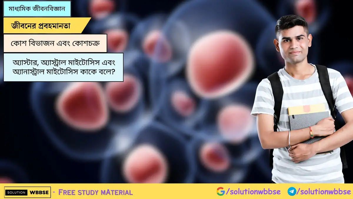 SolutionWbbse - Free Wbbse Notes 3 অ্যাস্টার, অ্যাস্ট্রাল মাইটোসিস এবং অ্যানাস্ট্রাল মাইটোসিস কাকে বলে?