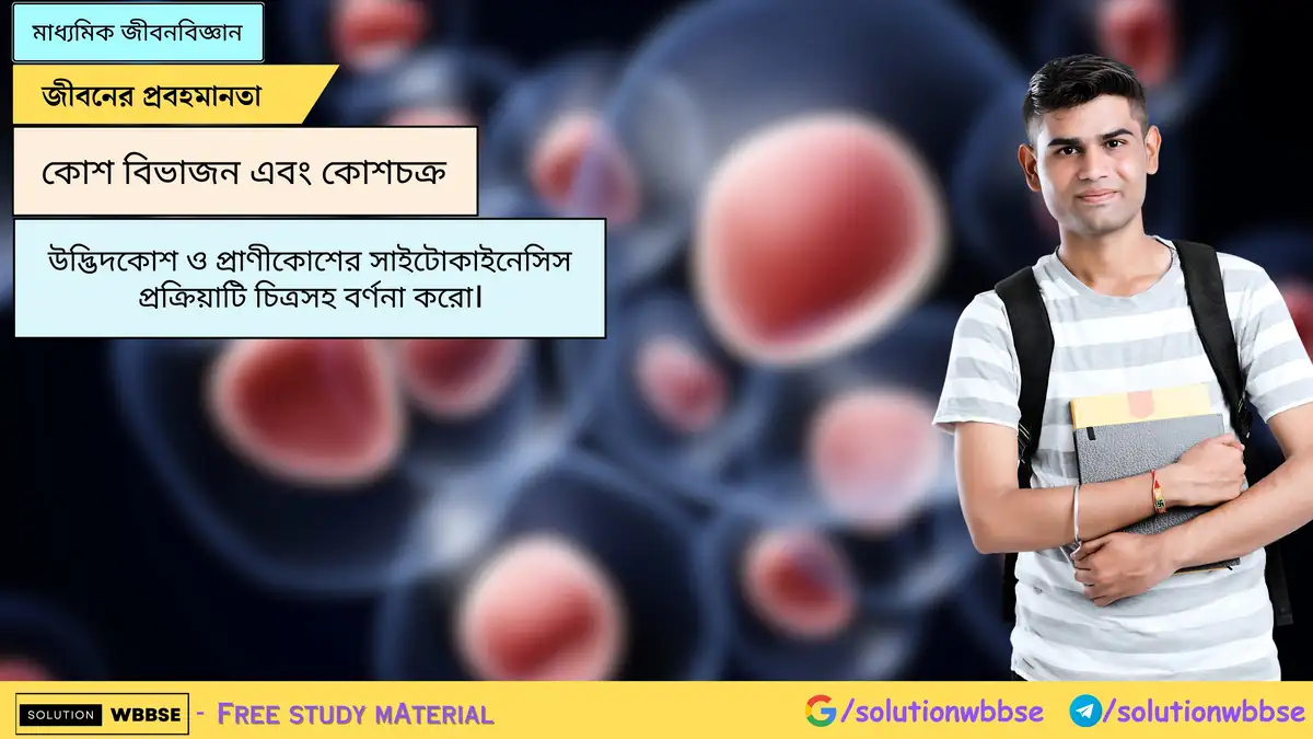 উদ্ভিদকোশ ও প্রাণীকোশের সাইটোকাইনেসিস প্রক্রিয়াটি চিত্রসহ বর্ণনা করো।