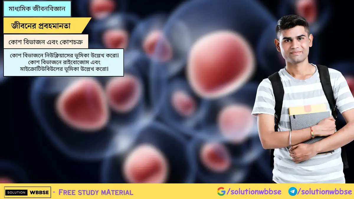 কোশ বিভাজনে নিউক্লিয়াসের ভূমিকা উল্লেখ করো। কোশ বিভাজনে রাইবোজোম এবং মাইক্রোটিউবিউলের ভূমিকা উল্লেখ করো।