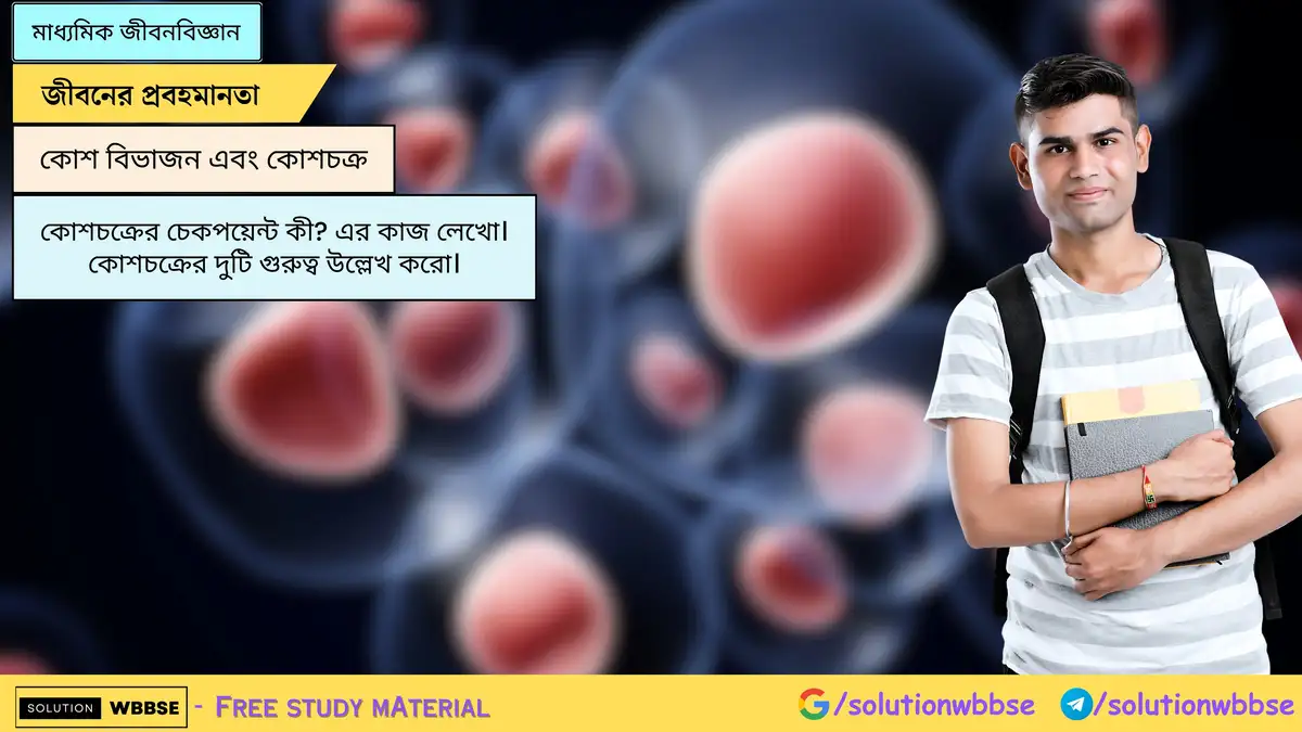 SolutionWbbse - Free Wbbse Notes 4 কোশচক্রের চেকপয়েন্ট কী? এর কাজ লেখো। কোশচক্রের দুটি গুরুত্ব উল্লেখ করো।