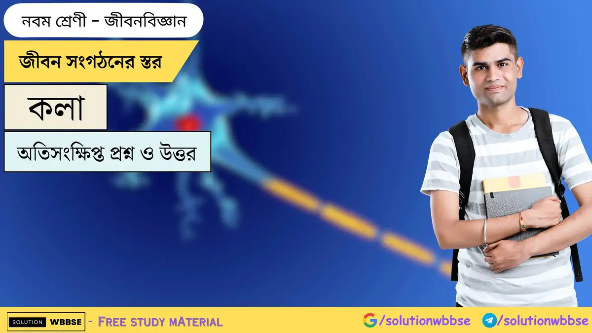 Home 1 জীবন সংগঠনের স্তর-কলা-জীবনবিজ্ঞান-নবম শ্রেণী