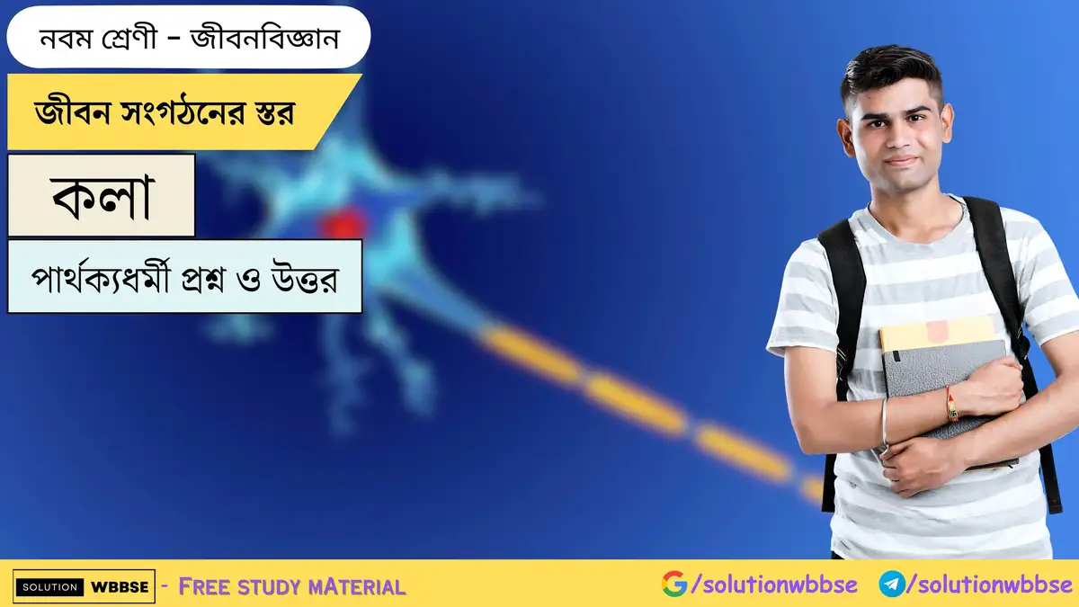 জীবন সংগঠনের স্তর-কলা-জীবনবিজ্ঞান-নবম শ্রেণী