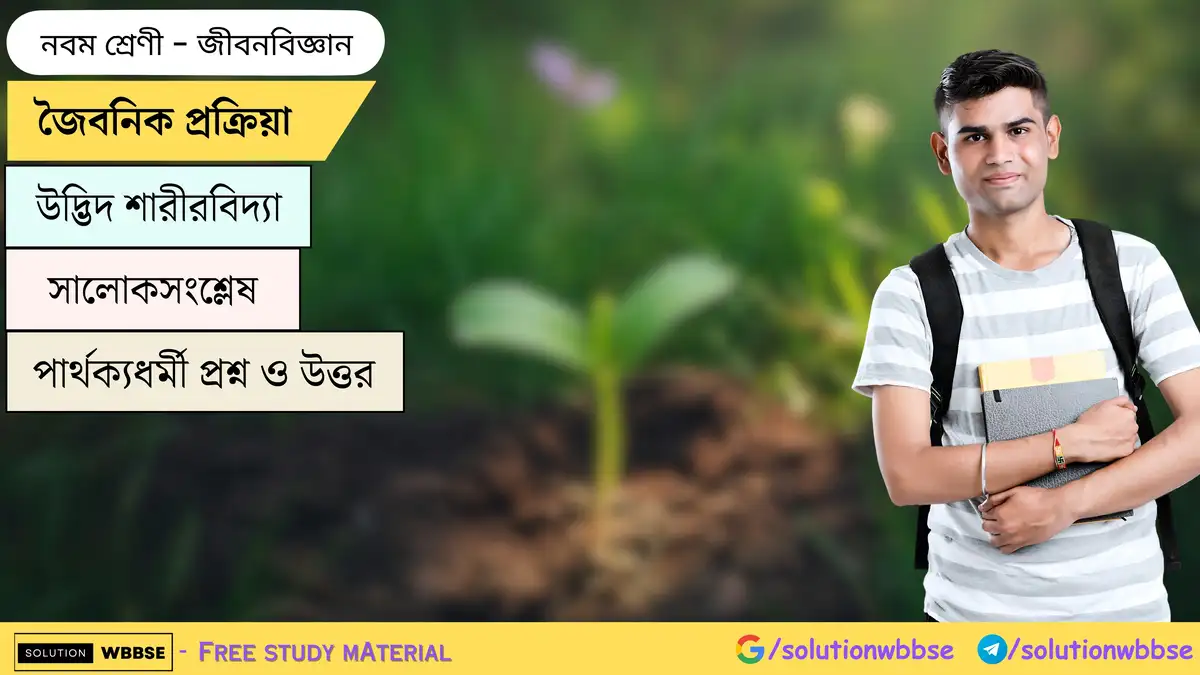 জৈবনিক প্রক্রিয়া-উদ্ভিদ শারীরবিদ্যা-সালোকসংশ্লেষ-জীবনবিজ্ঞান-নবম শ্রেণী