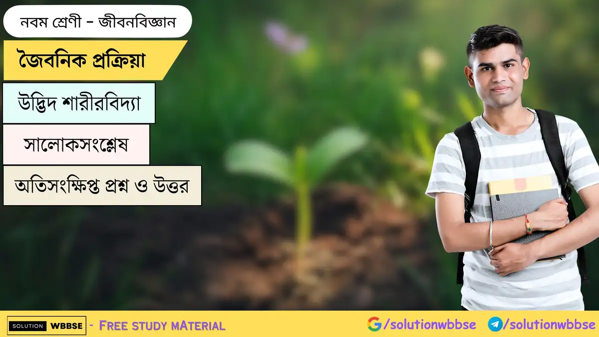 জৈবনিক প্রক্রিয়া-উদ্ভিদ শারীরবিদ্যা-সালোকসংশ্লেষ-নবম শ্রেণী-জীবনবিজ্ঞান