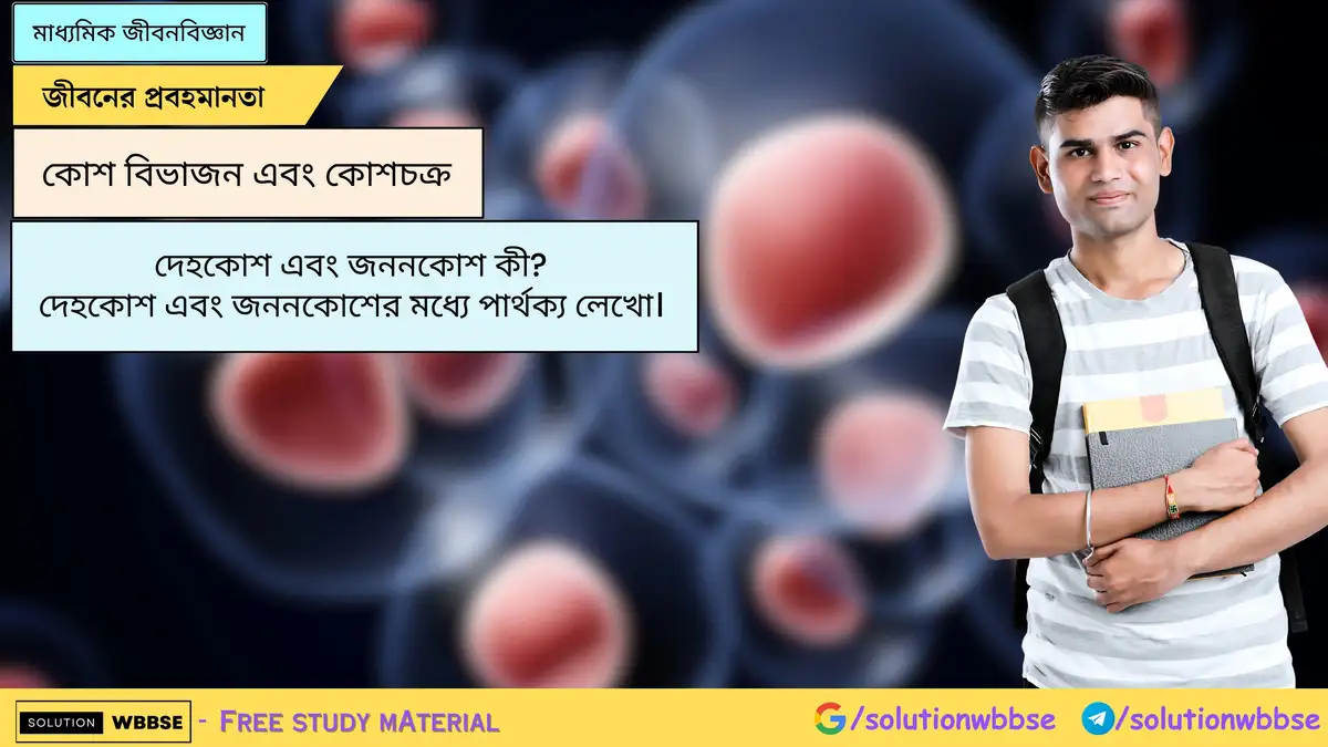 SolutionWbbse - Free Wbbse Notes 3 দেহকোশ এবং জননকোশ কী? দেহকোশ এবং জননকোশের মধ্যে পার্থক্য লেখো।