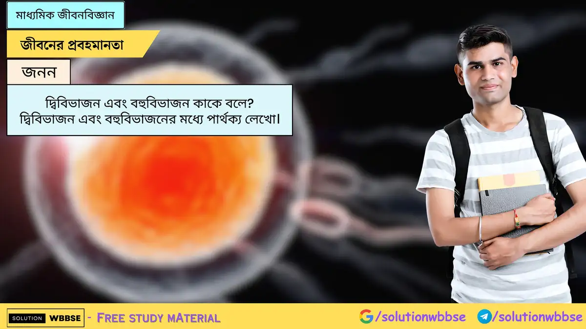দ্বিবিভাজন এবং বহুবিভাজন কাকে বলে? দ্বিবিভাজন এবং বহুবিভাজনের মধ্যে পার্থক্য লেখো।