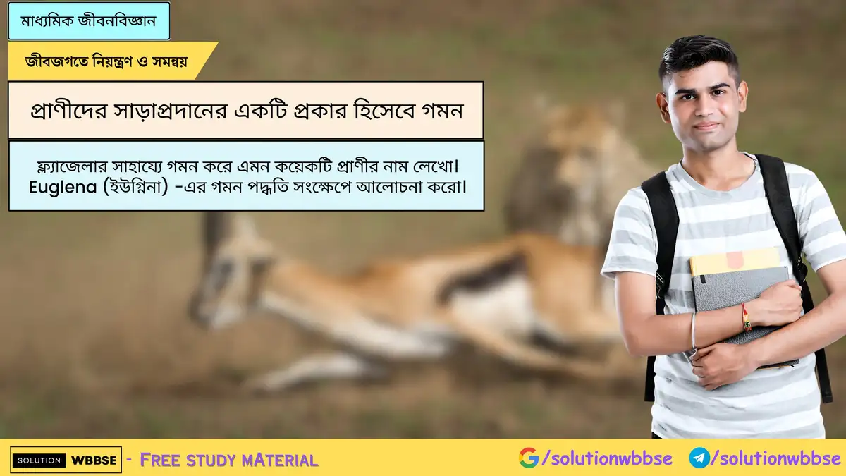 ফ্ল্যাজেলার সাহায্যে গমন করে এমন কয়েকটি প্রাণীর নাম লেখো। Euglena (ইউগ্নিনা) -এর গমন পদ্ধতি সংক্ষেপে আলোচনা করো।