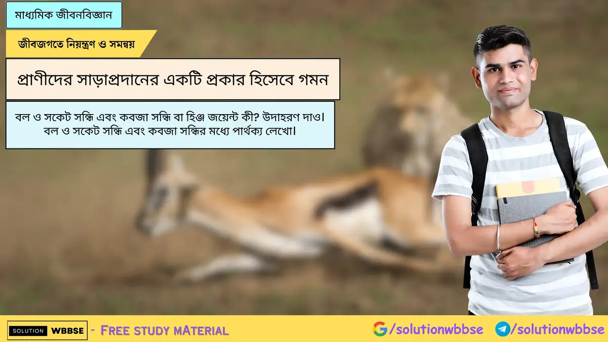 বল ও সকেট সন্ধি এবং কবজা সন্ধি বা হিঞ্জ জয়েন্ট কী? উদাহরণ দাও। বল ও সকেট সন্ধি এবং কবজা সন্ধির মধ্যে পার্থক্য লেখো।