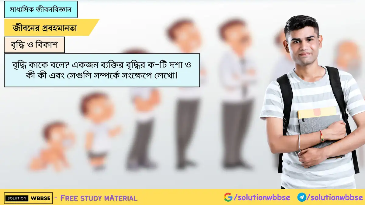 SolutionWbbse - Free Wbbse Notes 3 বৃদ্ধি কাকে বলে? একজন ব্যক্তির বৃদ্ধির ক-টি দশা ও কী কী এবং সেগুলি সম্পর্কে সংক্ষেপে লেখো।