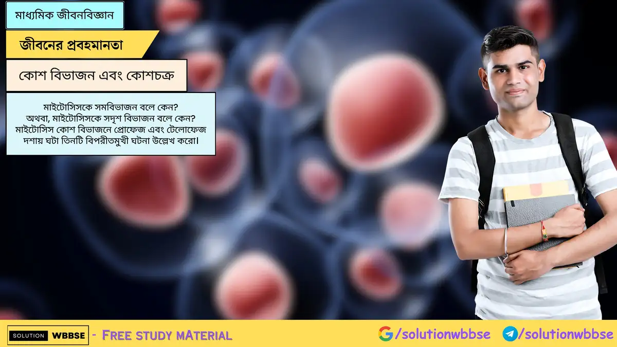 SolutionWbbse - Free Wbbse Notes 2 মাইটোসিসকে সমবিভাজন বলে কেন? মাইটোসিস কোশ বিভাজনে প্রোফেজ এবং টেলোফেজ দশায় ঘটা তিনটি বিপরীতমুখী ঘটনা উল্লেখ করো।