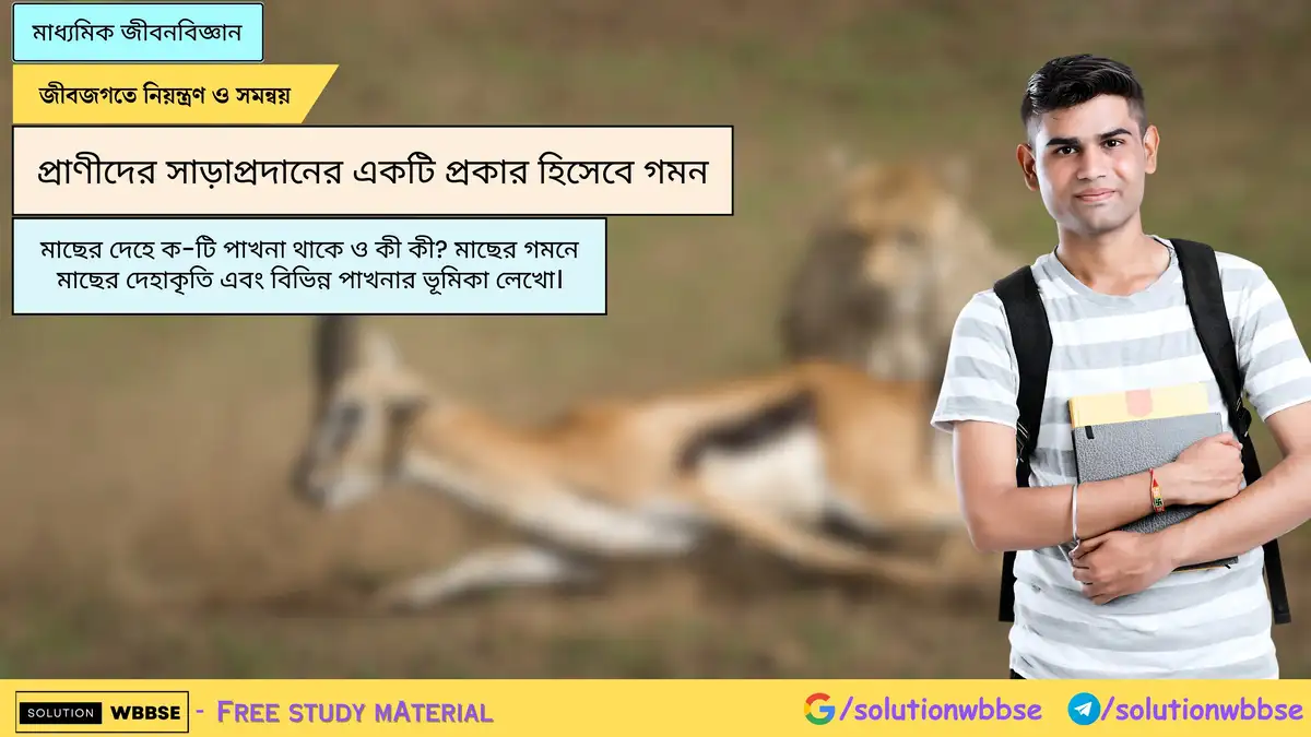 মাছের দেহে ক-টি পাখনা থাকে ও কী কী? মাছের গমনে মাছের দেহাকৃতি এবং বিভিন্ন পাখনার ভূমিকা লেখো।