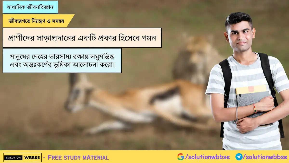 SolutionWbbse - Free Wbbse Notes 2 মানুষের দেহের ভারসাম্য রক্ষায় লঘুমস্তিষ্ক এবং অন্তঃকর্ণের ভূমিকা আলোচনা করো।